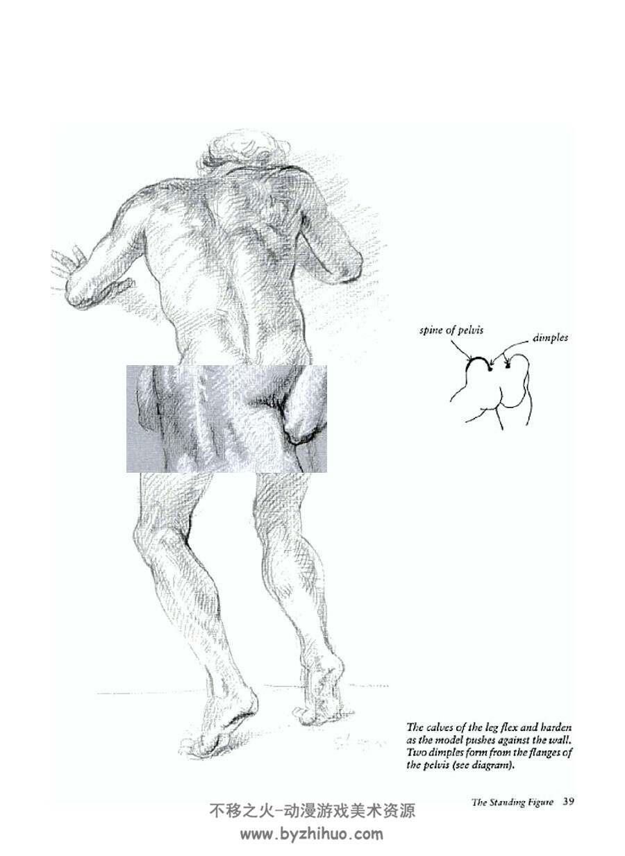 Realistic Figure Drawing 写实人物画 Joseph Sheppard 写实人体素描教学网盘下载