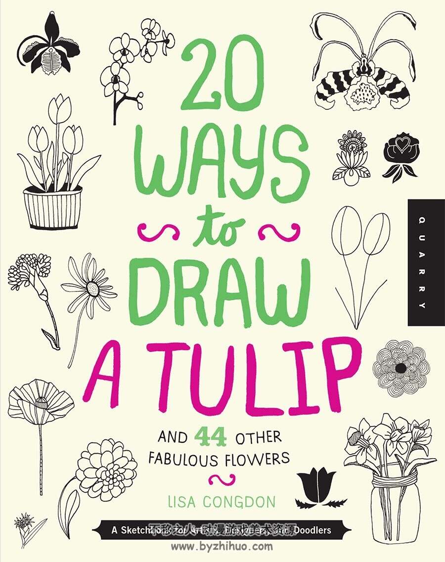 20 Ways to Draw a Tulip and 44 Other Fabulous Flowers 20种郁金香画法和44种花