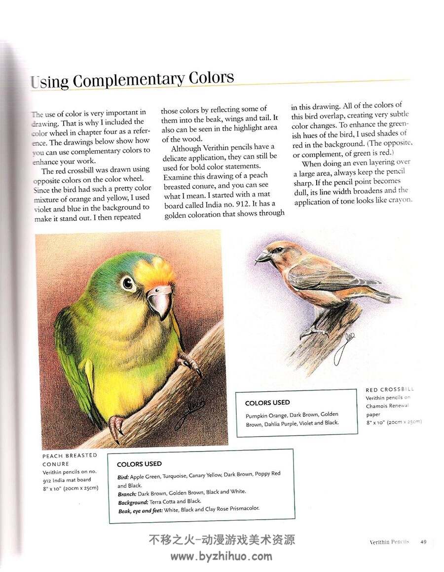 Birds Drawings in Color 彩铅画鸟 Lee Hammond 彩色铅笔手绘禽类教程下载