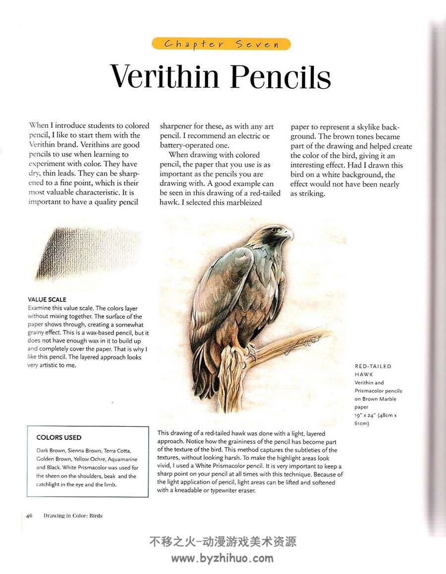 Birds Drawings in Color 彩铅画鸟 Lee Hammond 彩色铅笔手绘禽类教程下载