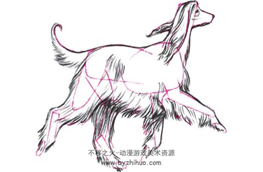 Draw 50 – Dogs 画50种狗 Lee J. Ames 各种品种犬类手绘教学 网盘下载