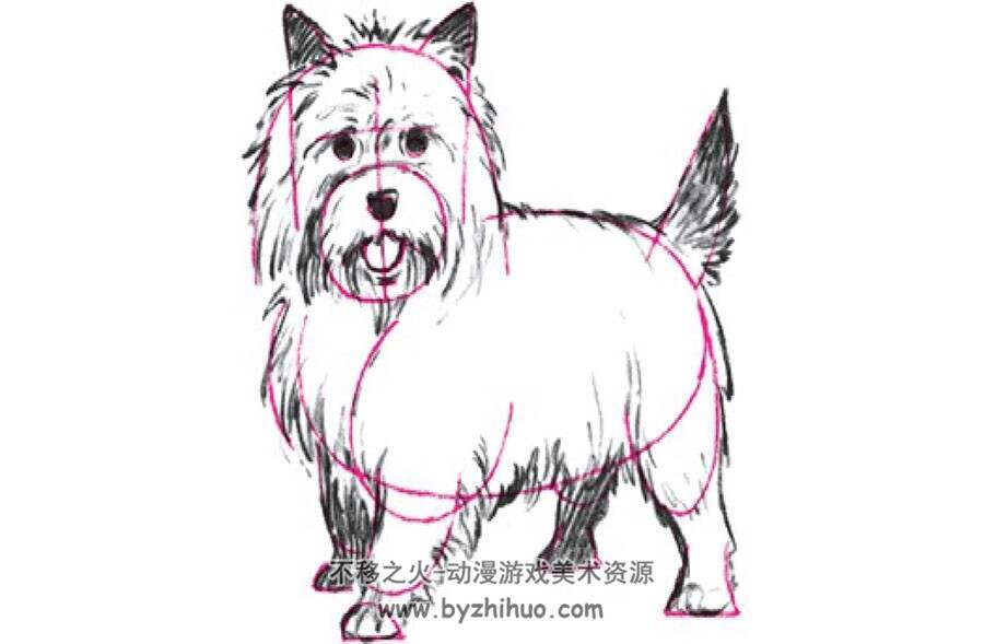 Draw 50 – Dogs 画50种狗 Lee J. Ames 各种品种犬类手绘教学 网盘下载