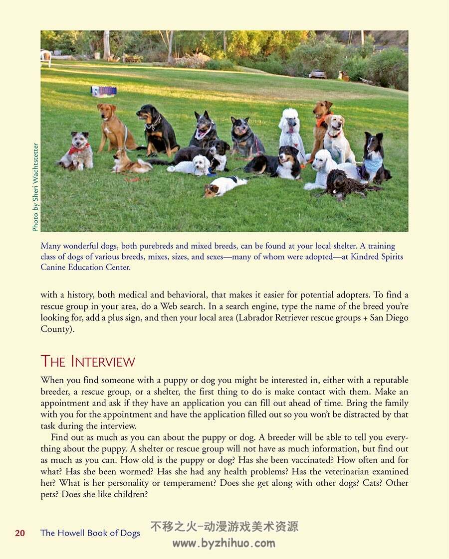 The Howell Book of Dogs 300个狗狗品种百科 照片资料参考说明PDF版下载