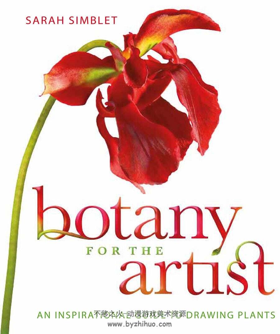 Botany for the Artist 艺术家植物学 Sarah Simblet 手绘植物科普书 网盘下载