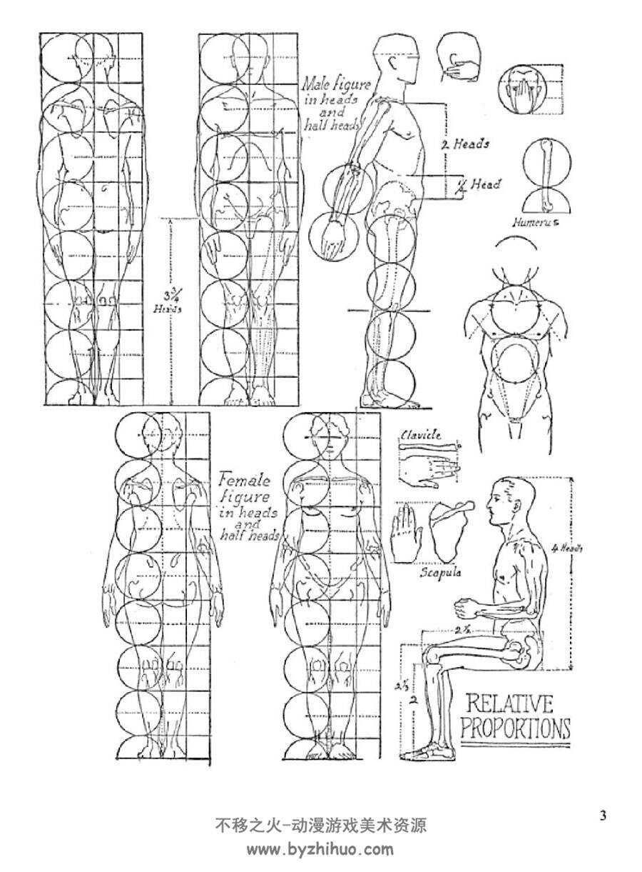 Anatomy and Drawing 解剖学与绘画 Victor Perard 人体结构绘画教学 网盘下载