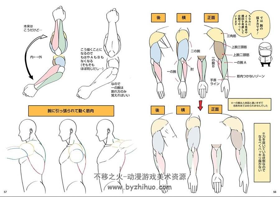 肌肉的描绘方法 すぐに役立つ！筋肉の描き方 肌肉绘画基础教学