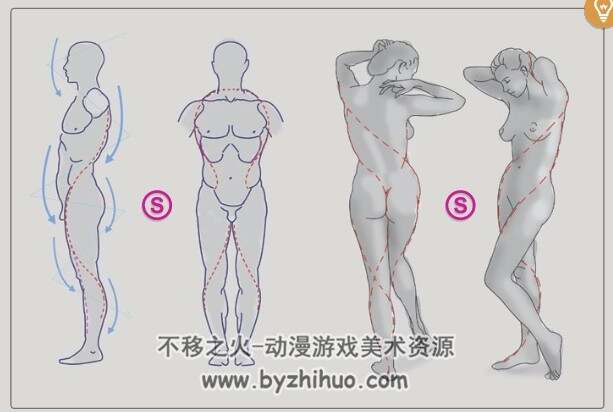 雕塑艺用解剖中文版（实用直观易上手）pdf格式下载
