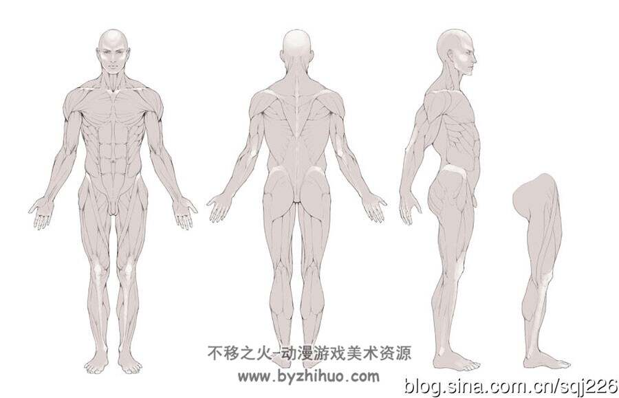 素描教程 300多张 人体结构素描案例 绘画基础教学参考素材合集