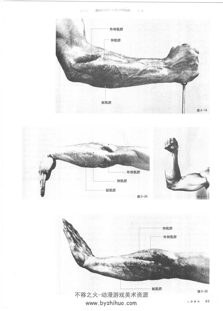 解构人体：艺术人体解剖 美术人体结构解析参考中文教材PDF版