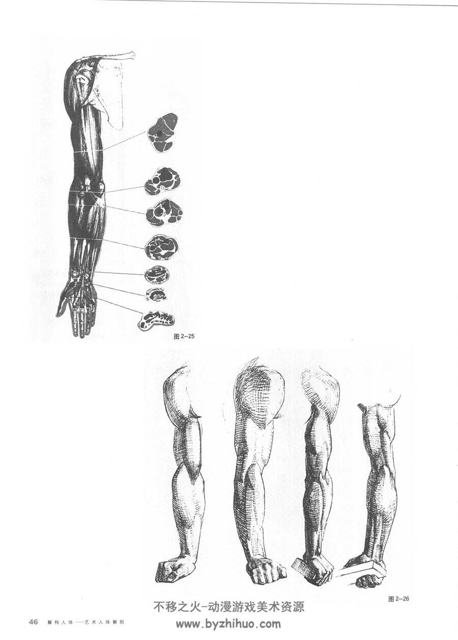 解构人体：艺术人体解剖 美术人体结构解析参考中文教材PDF版