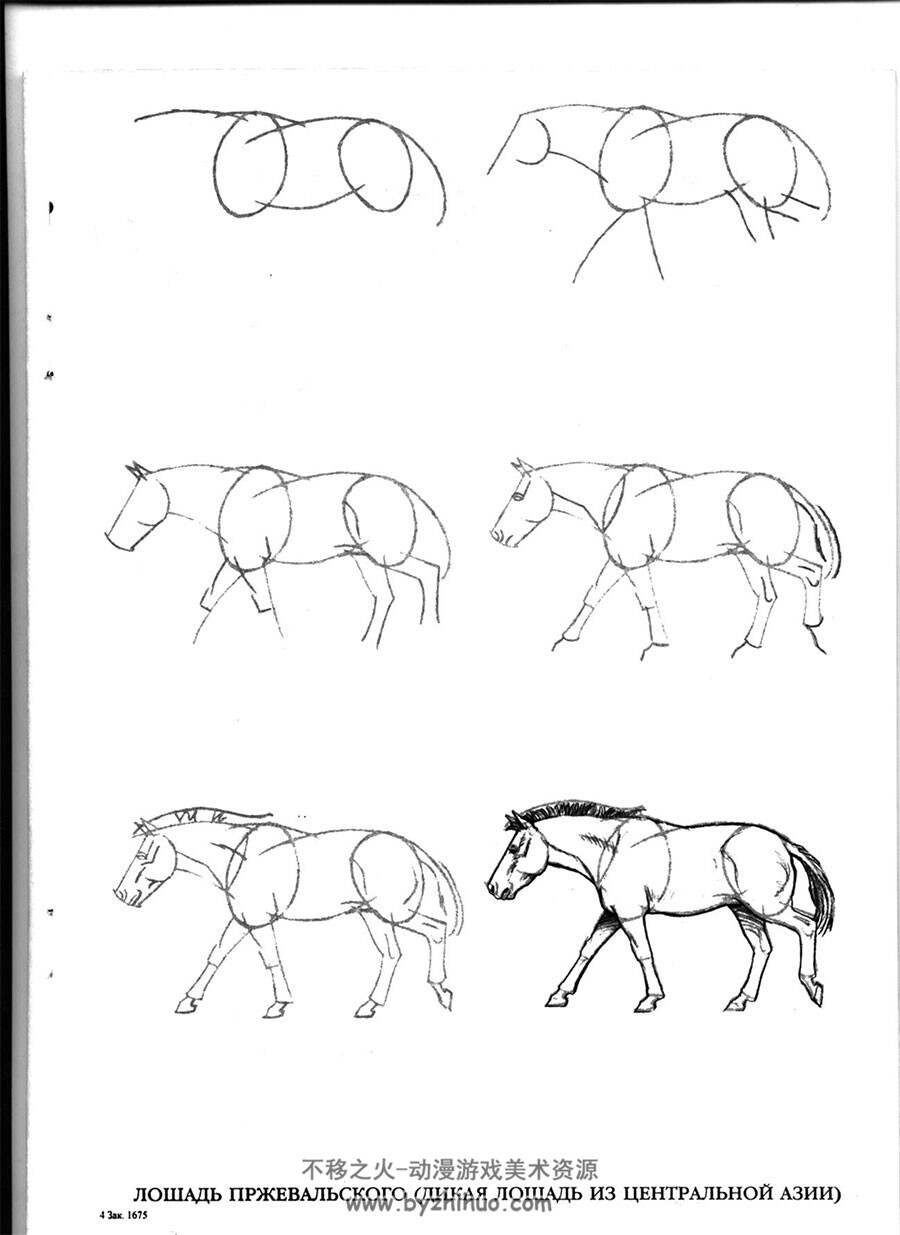50个马的画法 外国马匹手绘教程资源 百度网盘下载