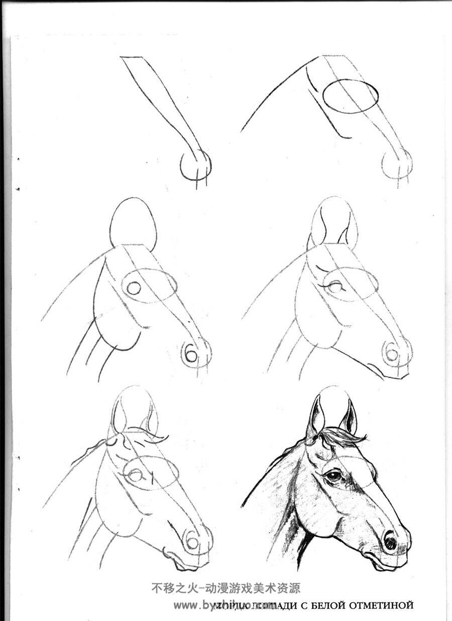50个马的画法 外国马匹手绘教程资源 百度网盘下载