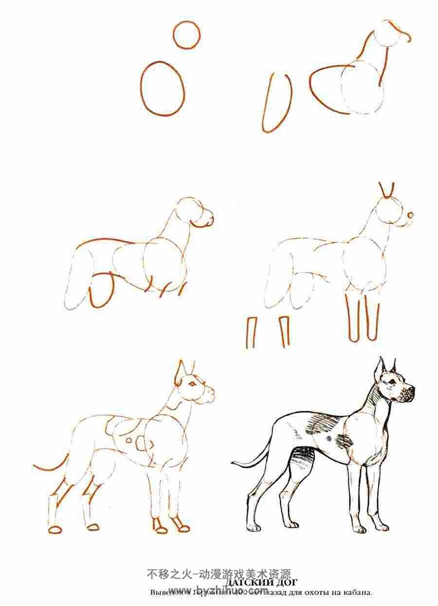 50种狗的绘画方法 外国狗的手绘教程资源 百度网盘下载