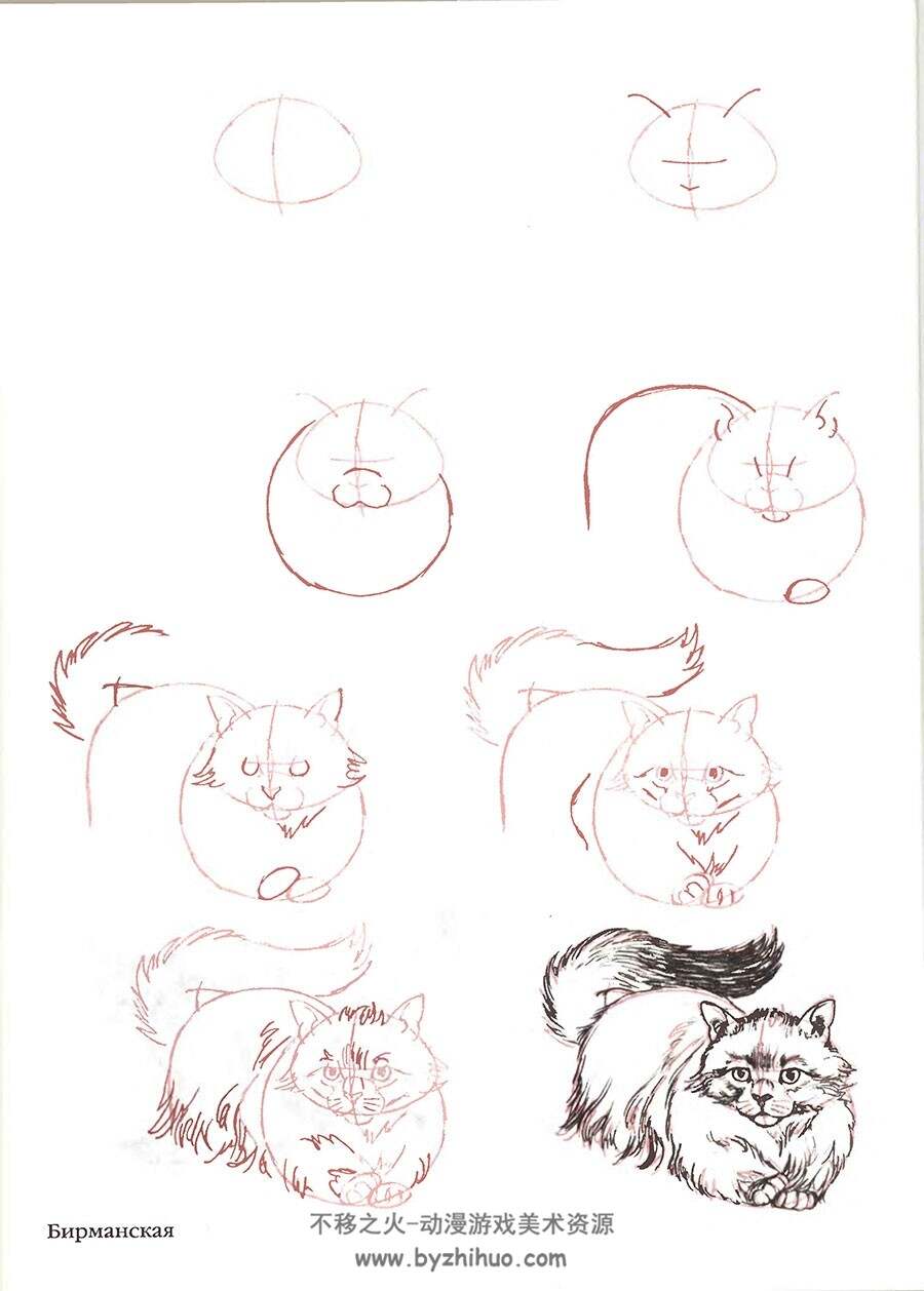 50种猫的绘画方法 外国猫的手绘教程资源 百度网盘下载