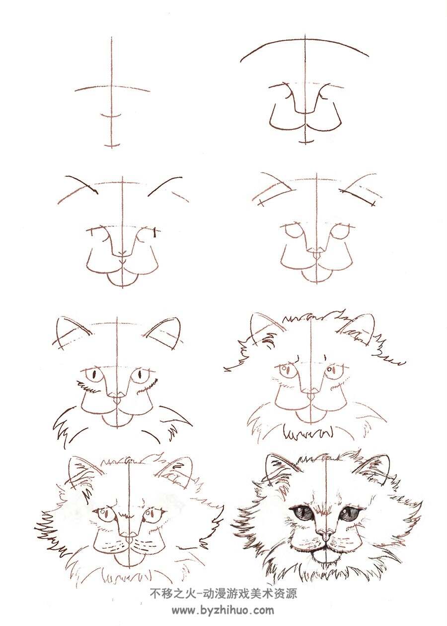 50种猫的绘画方法 外国猫的手绘教程资源 百度网盘下载