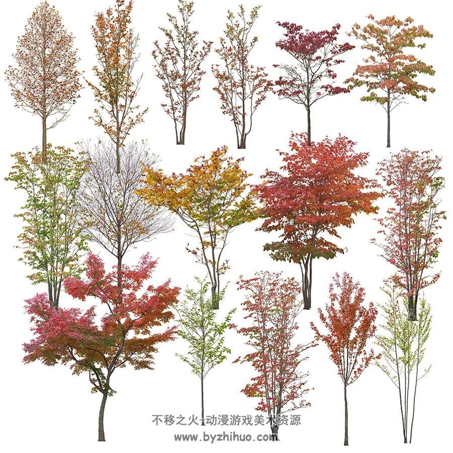 园林树木花草贴图 PNG格式与PSD源文件美术素材 50P