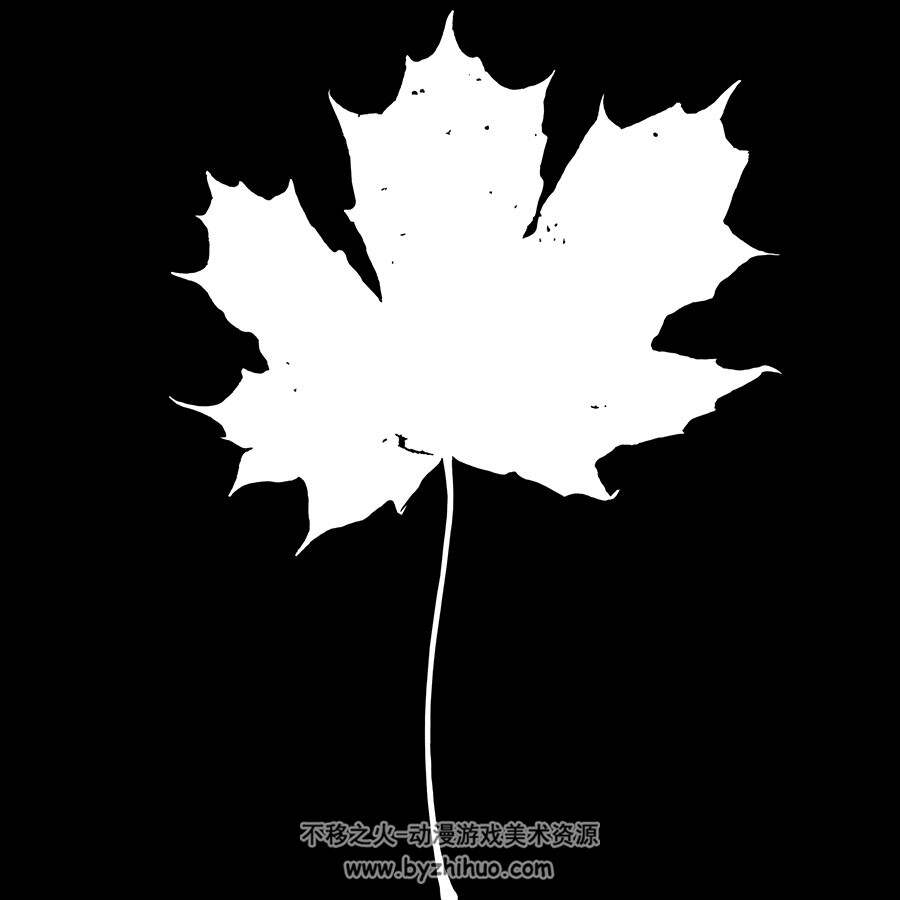 四季树叶高清扫描材质贴图美术艺用TGA素材分享下载