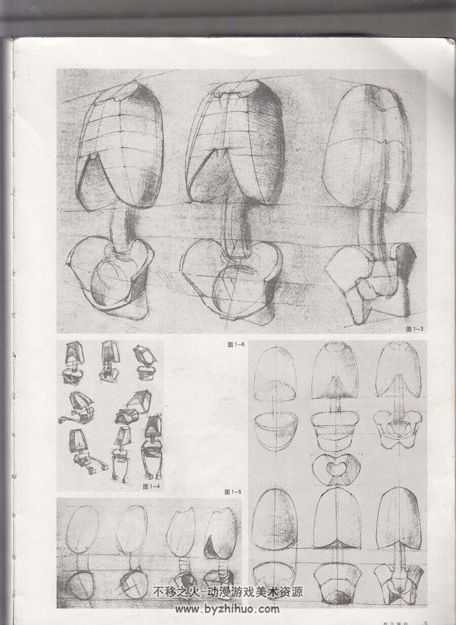 解构人体 艺术人体解剖 手绘素描人体结构 百度网盘下载
