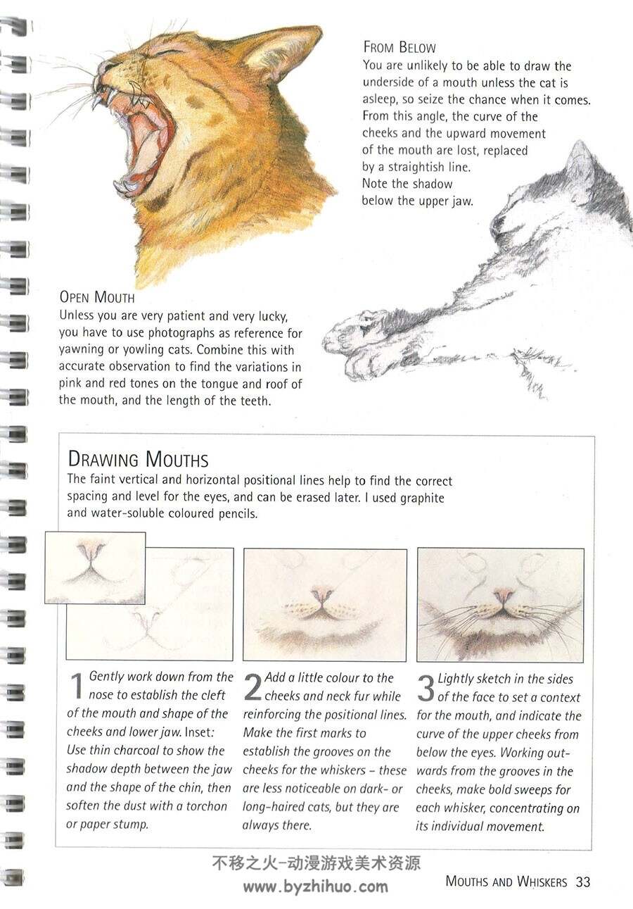 如何画猫  Cats How To Draw Them 手绘喵咪的教学 百度网盘下载