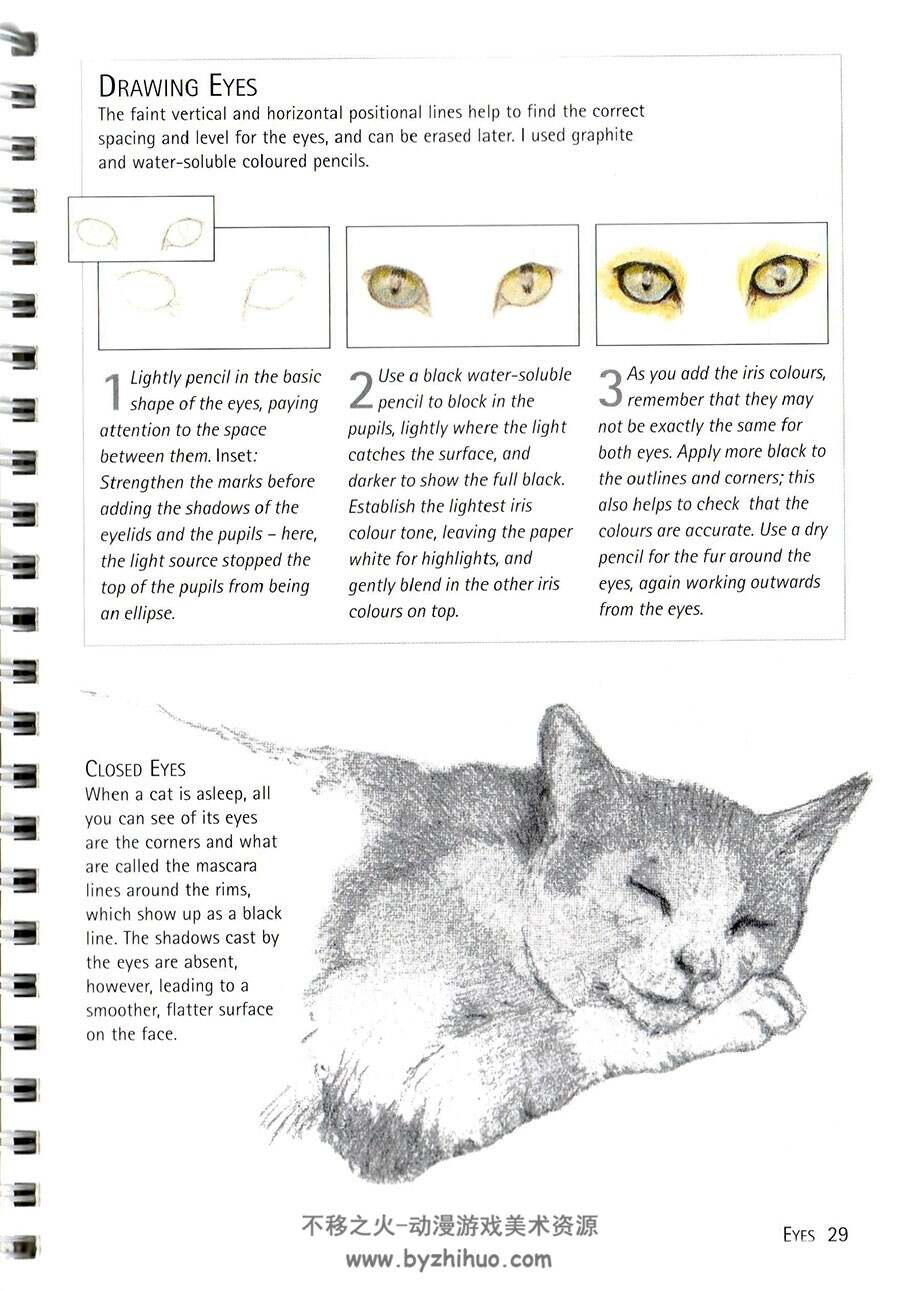 如何画猫  Cats How To Draw Them 手绘喵咪的教学 百度网盘下载