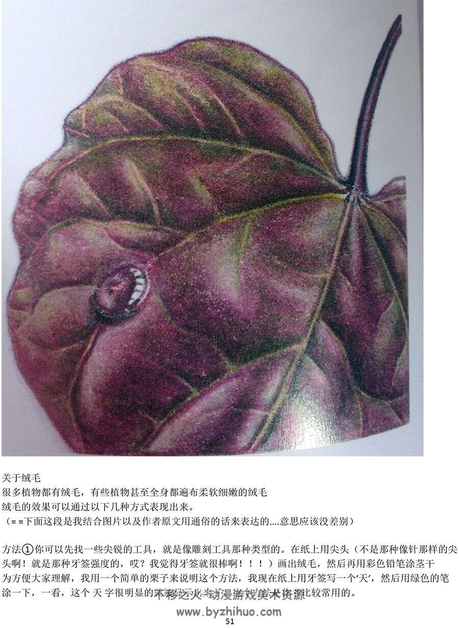 ANN SWAN 植物彩铅技法 花草植物绘画学习教程 百度网盘下载