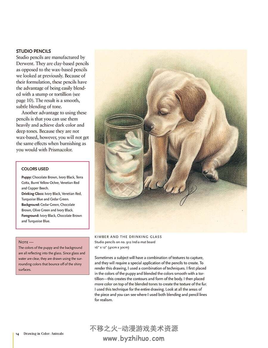 Drawing in color animals 彩铅绘画-动物 手绘动物绘画教学 百度网盘下载