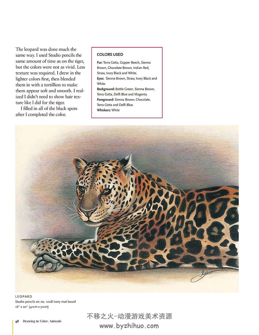 Drawing in color animals 彩铅绘画-动物 手绘动物绘画教学 百度网盘下载