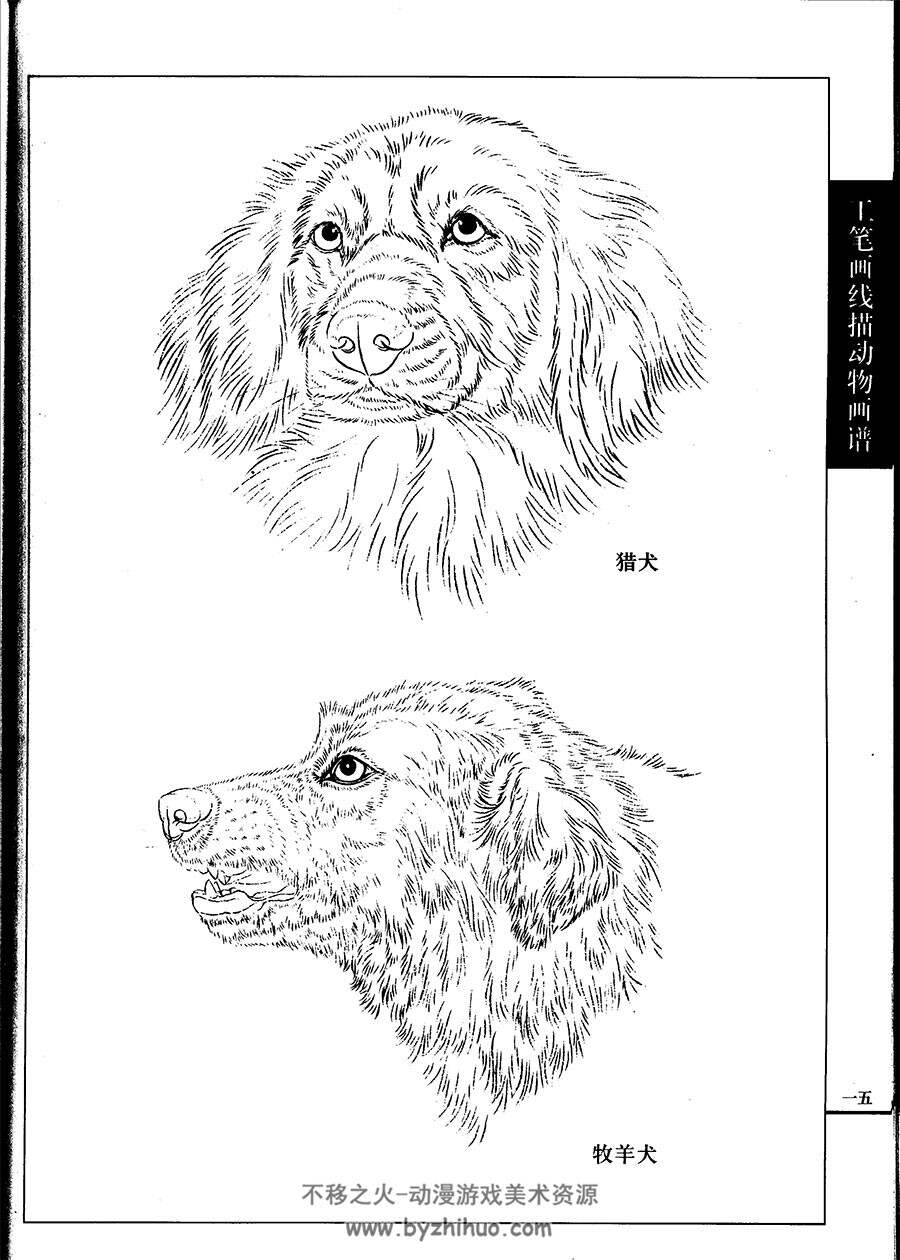 名犬篇 工笔画线描百花画谱 中国古典绘画参考书籍 百度网盘下载