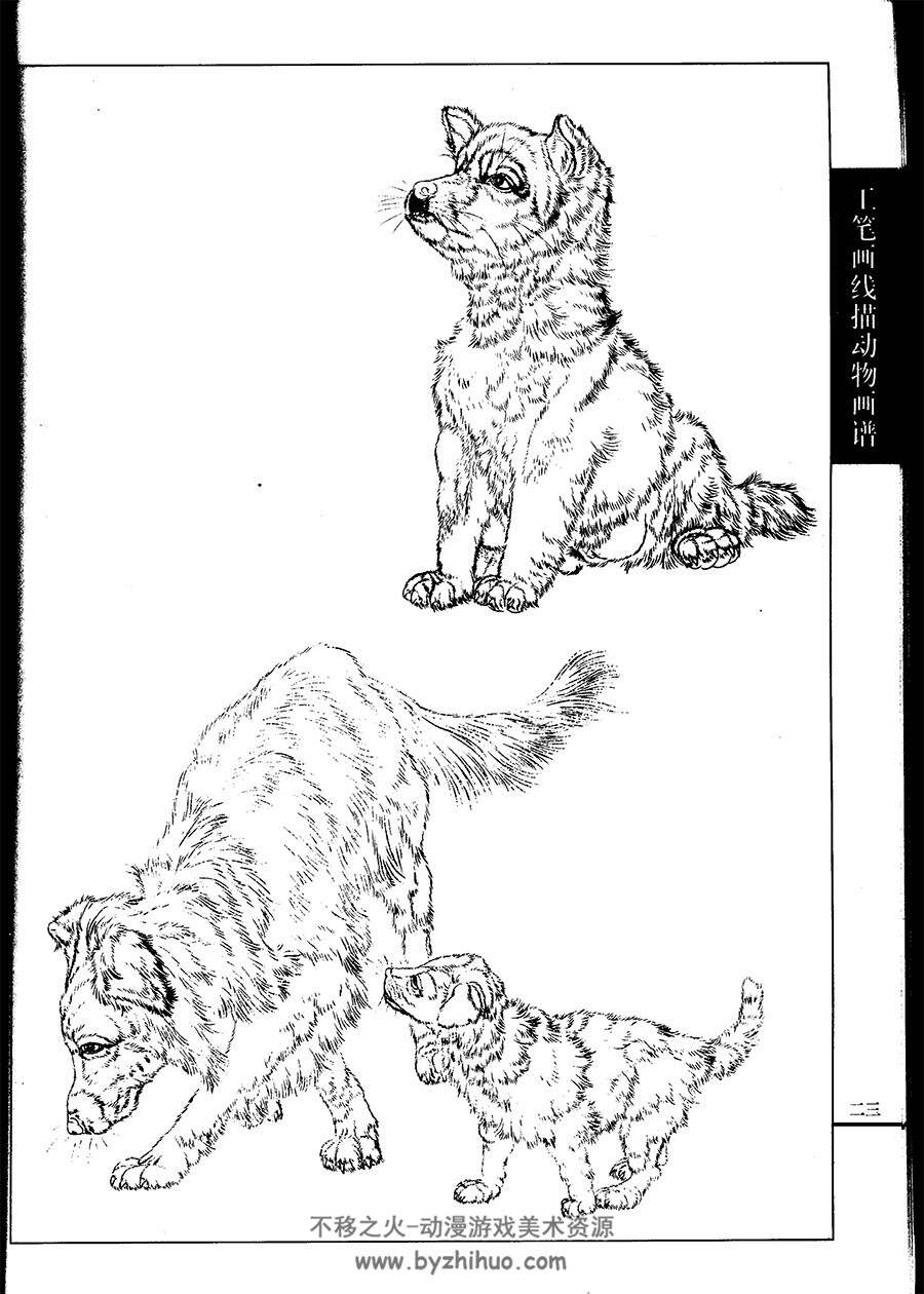 名犬篇 工笔画线描百花画谱 中国古典绘画参考书籍 百度网盘下载