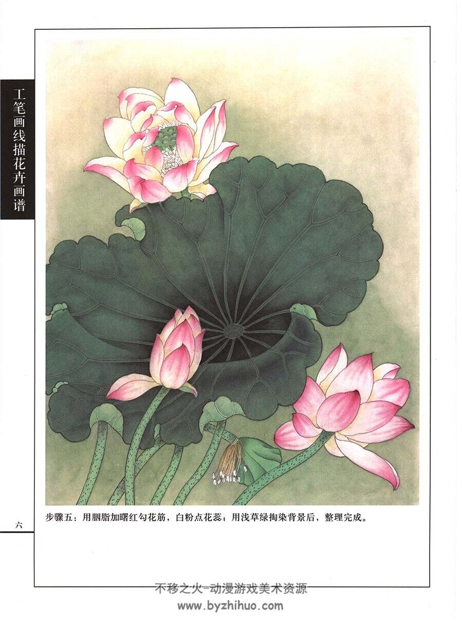 荷花篇 工笔画线描百花画谱 中国古典绘画参考书籍 百度网盘下载