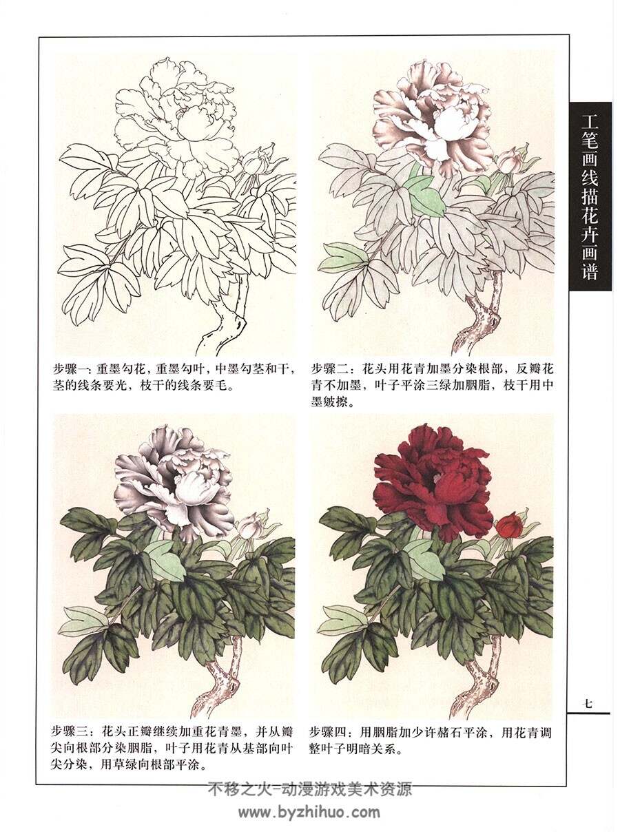 牡丹篇 工笔画线描百花画谱 传统古典绘画书籍资料 百度网盘下载