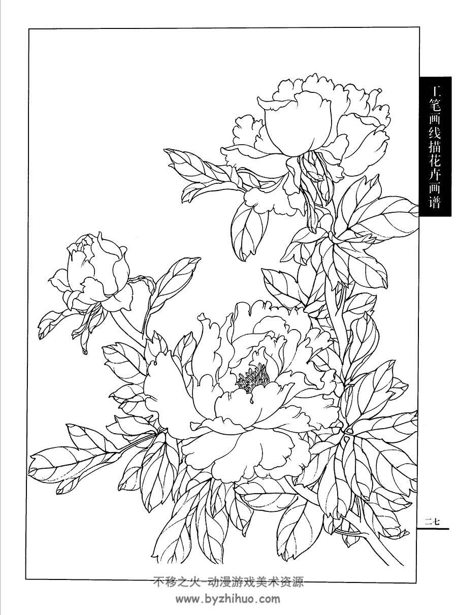 牡丹篇 工笔画线描百花画谱 传统古典绘画书籍资料 百度网盘下载