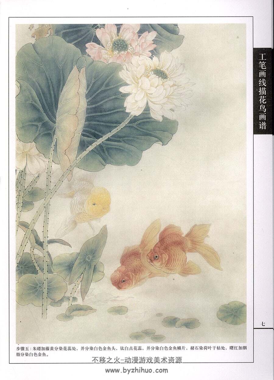 金鱼篇 工笔画线描百花画谱 中国古典绘画参考书籍 百度网盘下载