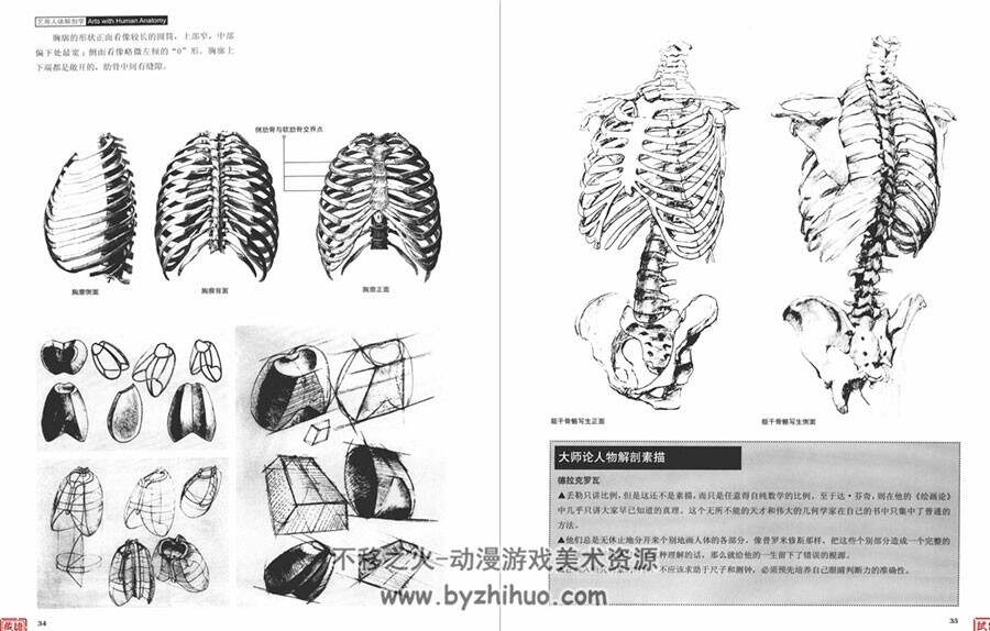 艺用人体解剖学 高等艺术院校美术基础系列教材 绘画参考书 网盘下载