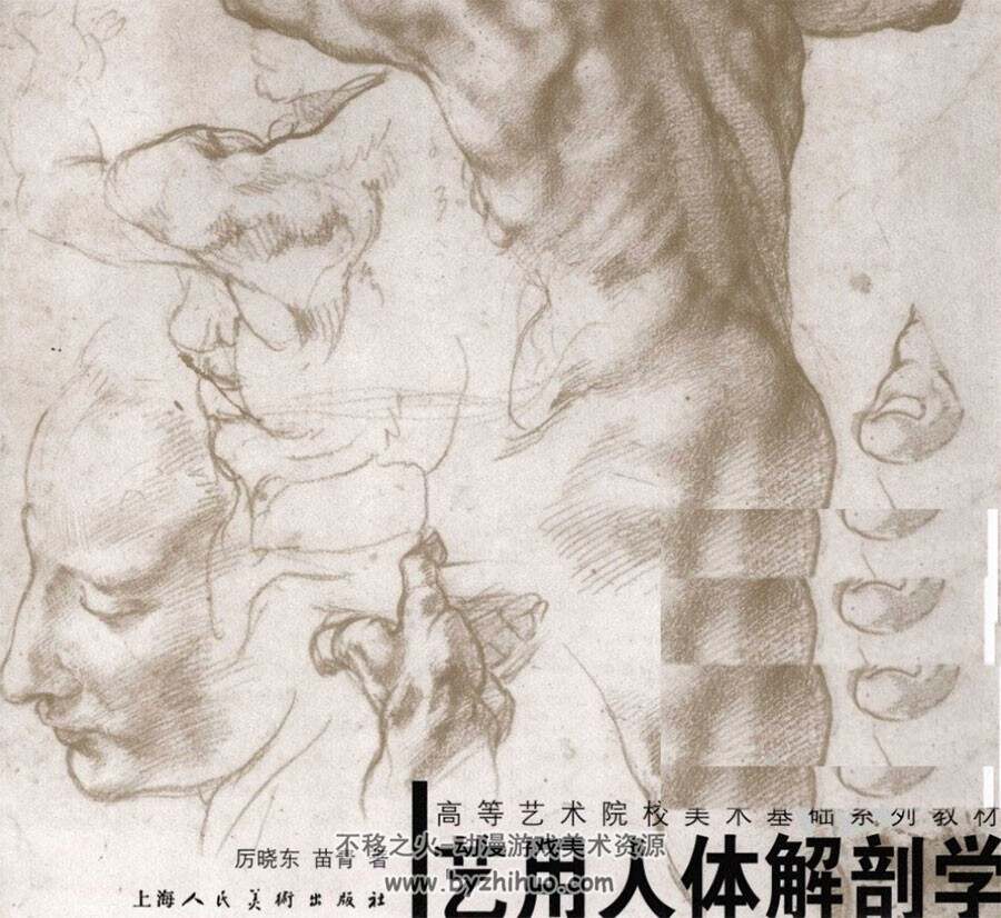 艺用人体解剖学 高等艺术院校美术基础系列教材 绘画参考书 网盘下载