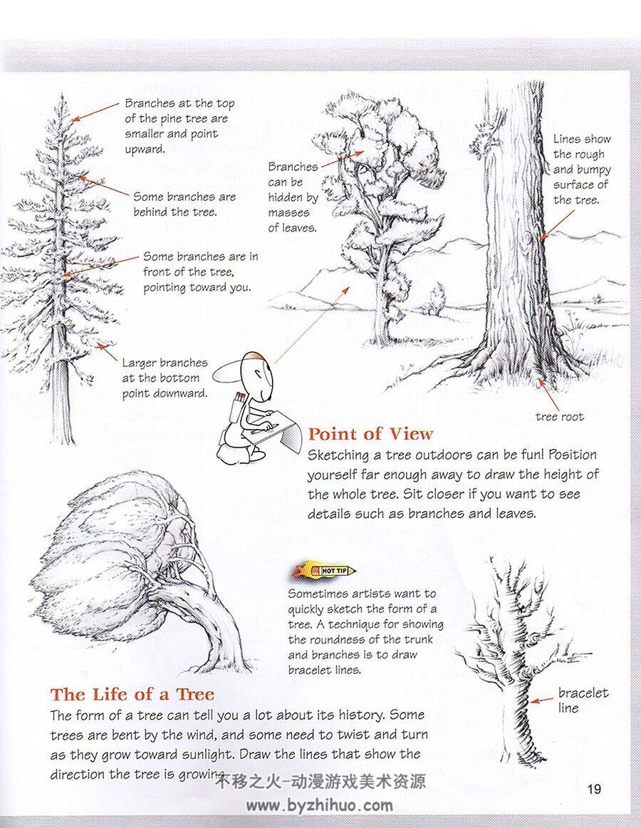 how to draw things in nature 怎样绘画自然中的生物 手绘教学书籍 网盘下载