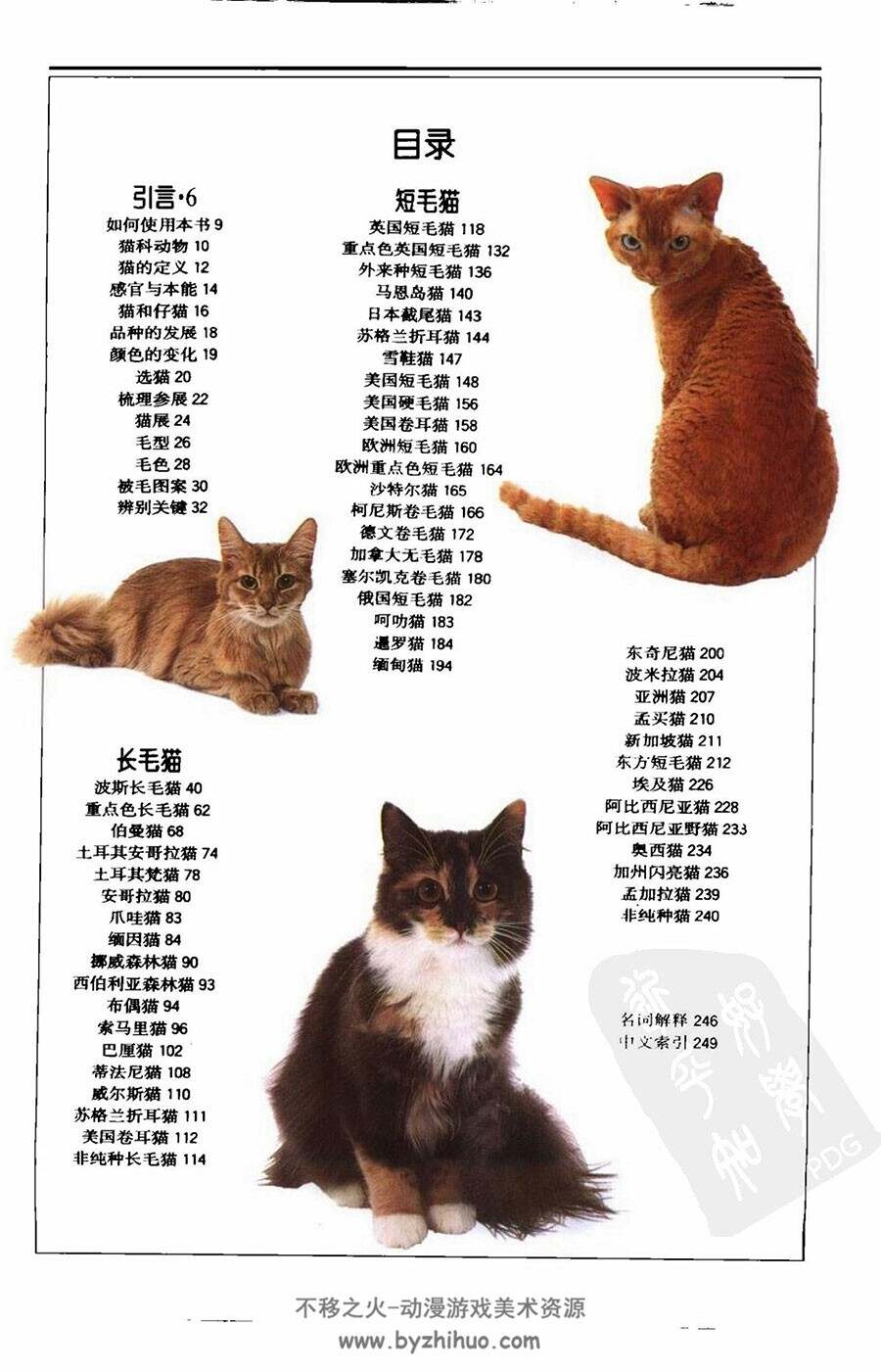 猫 世界各地250多种猫的彩色图鉴 猫咪素材资料图解书籍百度网盘下载