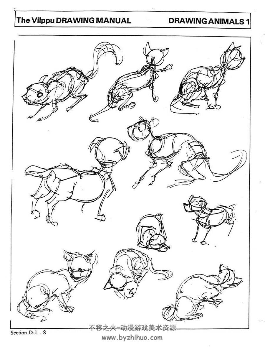Vilppu Animal Drawing 动物的素描绘画教学教材 百度网盘下载