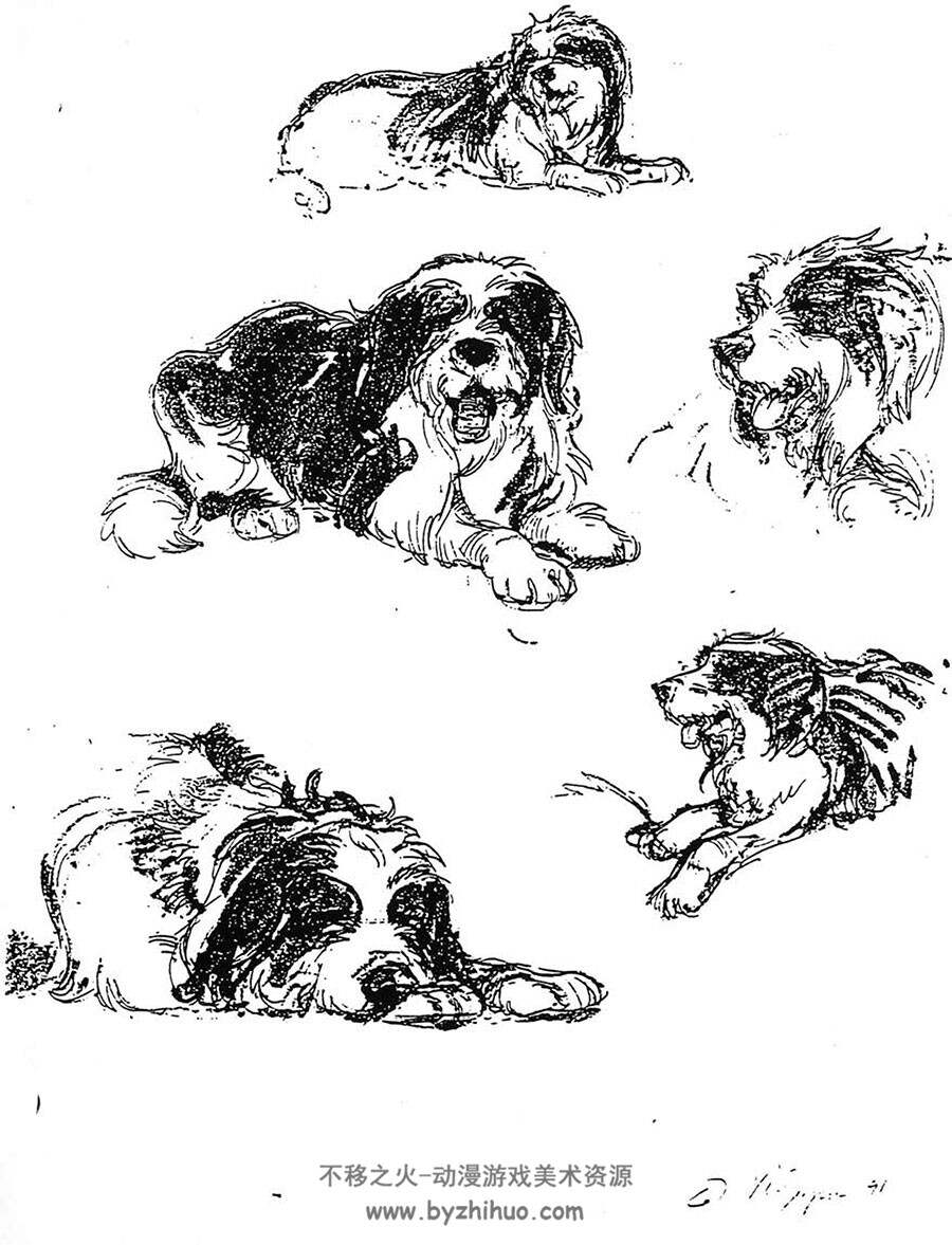 Vilppu Animal Drawing 动物的素描绘画教学教材 百度网盘下载