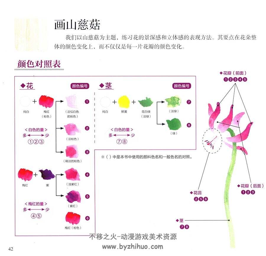 唯美写意花之绘  春之卷 手绘水彩花卉教学 百度网盘下载