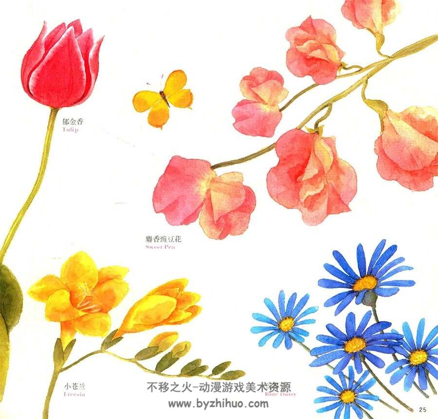 你好，彩绘！水色四季花之绘 手绘鲜花绘画教程 百度网盘下载
