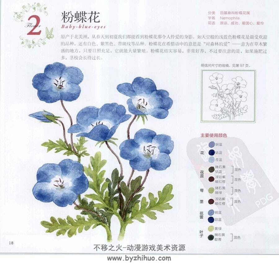 春之花卉 幸福四季水彩花园 手绘花朵教程 百度网盘下载