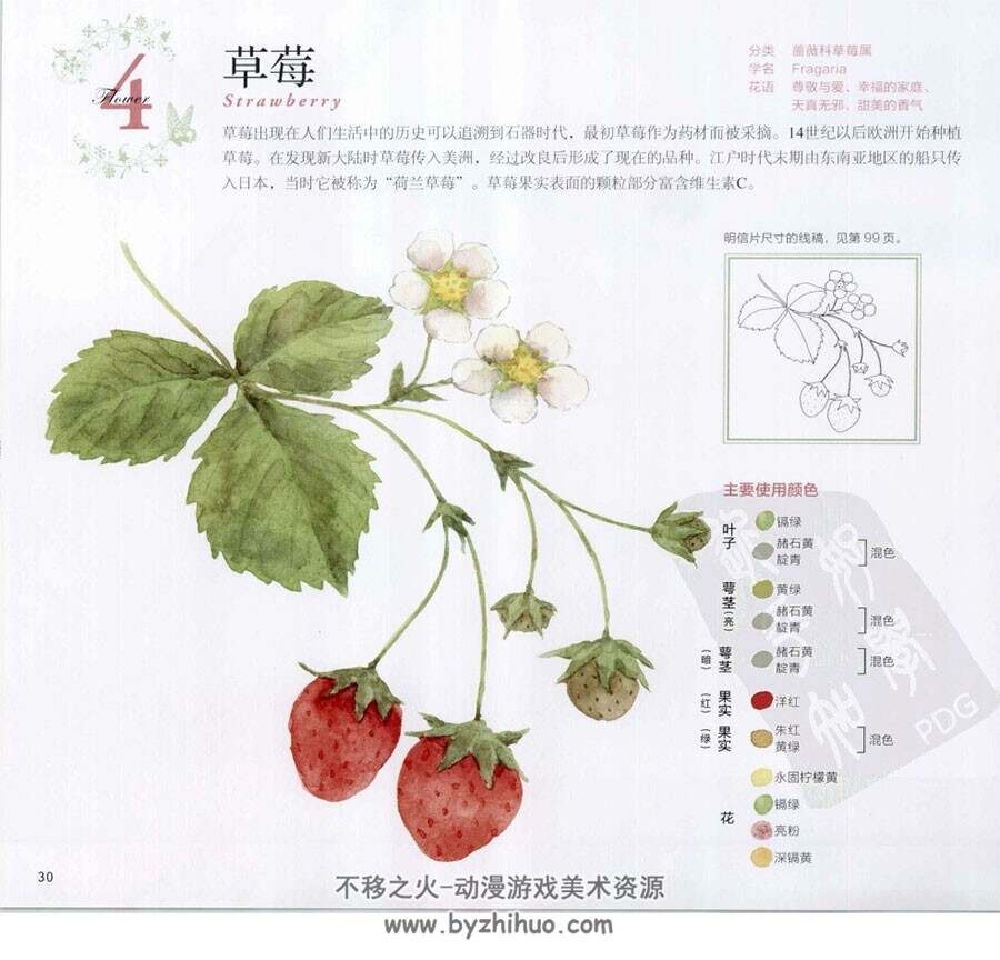 春之花卉 幸福四季水彩花园 手绘花朵教程 百度网盘下载