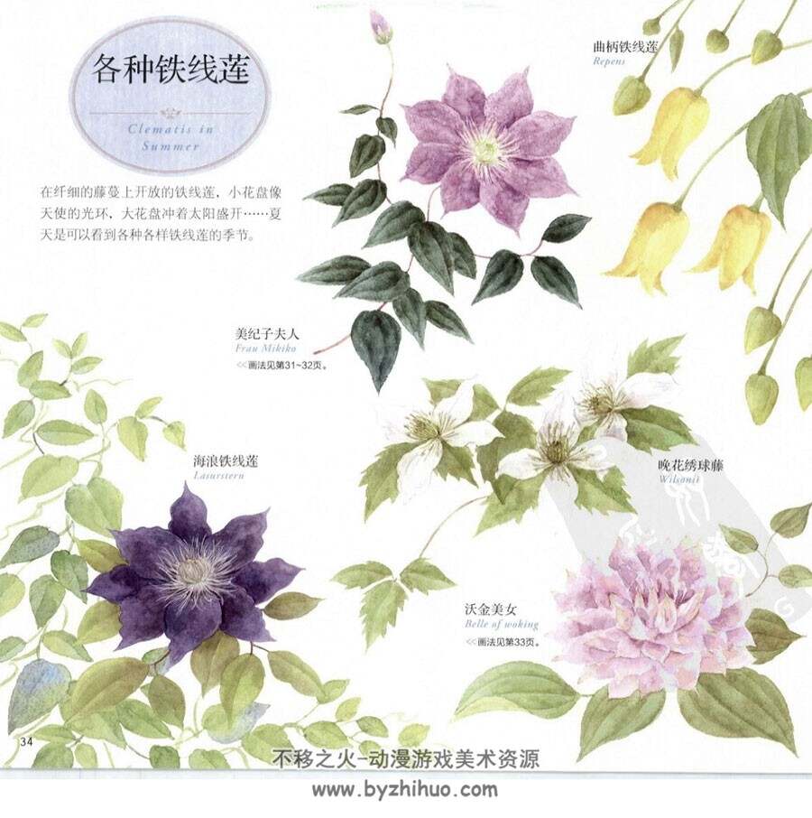 夏之花卉 幸福四季水彩花园 手绘花朵教程 百度网盘下载