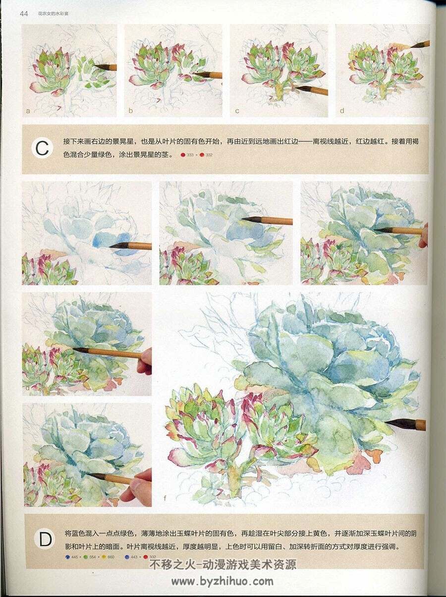 花农女的水彩宴 鲜花水彩绘画手绘教程 百度网盘下载