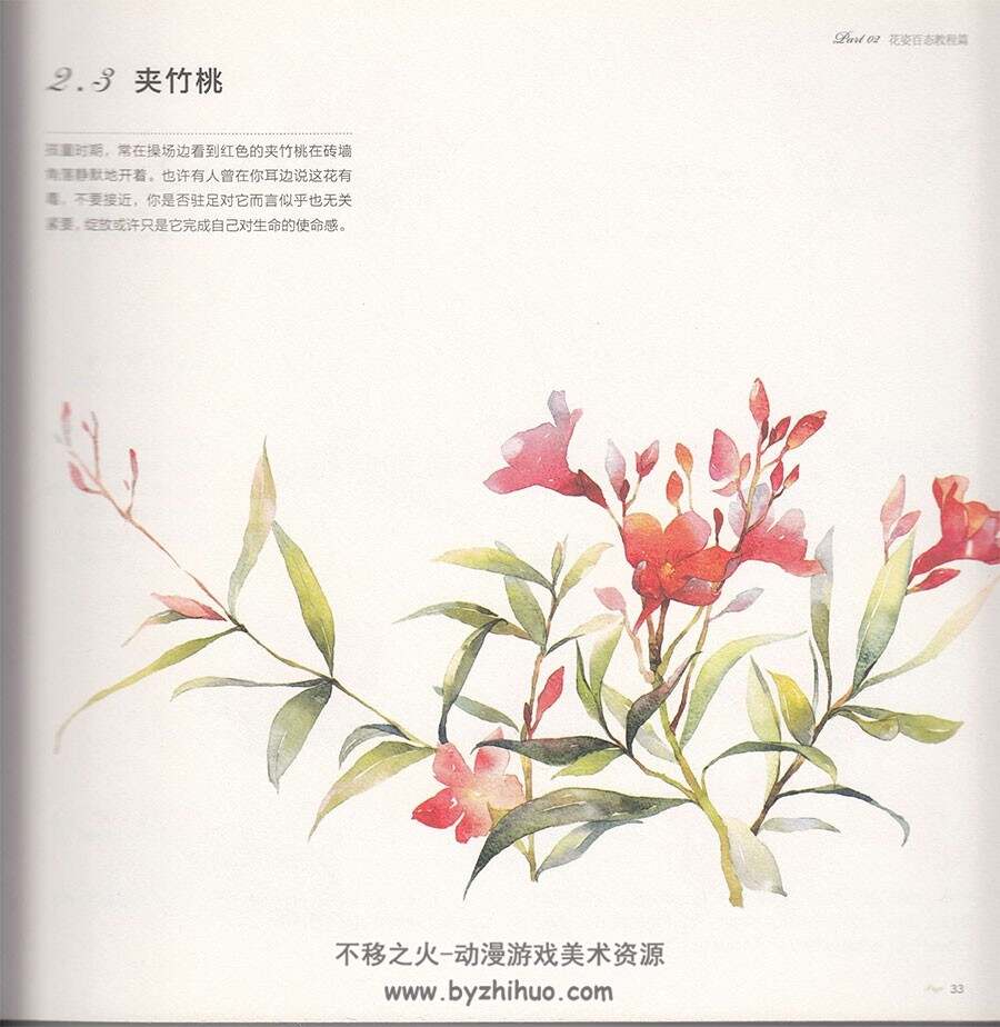 柔美花姿手绘技法 浪漫水彩课 手绘鲜花植物教程 百度网盘下载