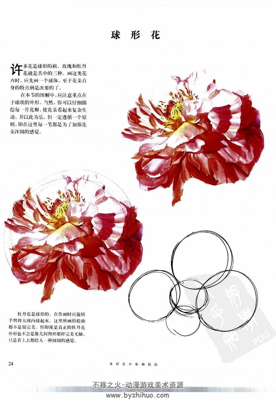 水彩花卉技法 传统手绘水彩植物绘画教程 百度网盘下载