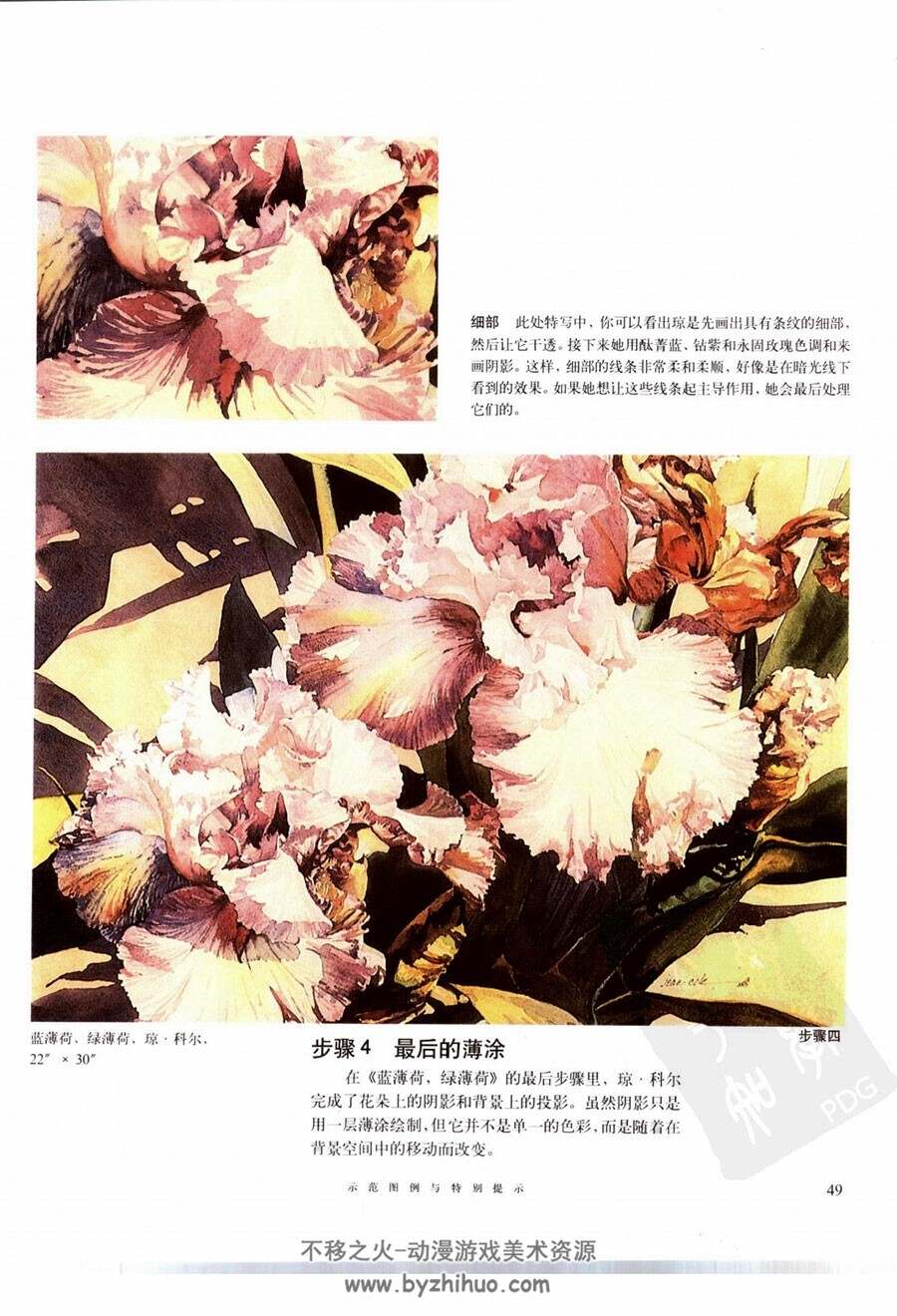 水彩花卉技法 传统手绘水彩植物绘画教程 百度网盘下载