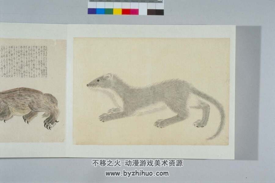 日本帝室博物馆-野兽图谱 百度网盘PDF格式分享赏析