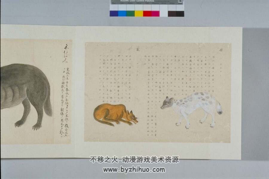 日本帝室博物馆-野兽图谱 百度网盘PDF格式分享赏析